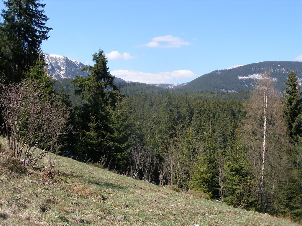Pecka Penzion Pec pod Sněžkou Exteriér fotografie